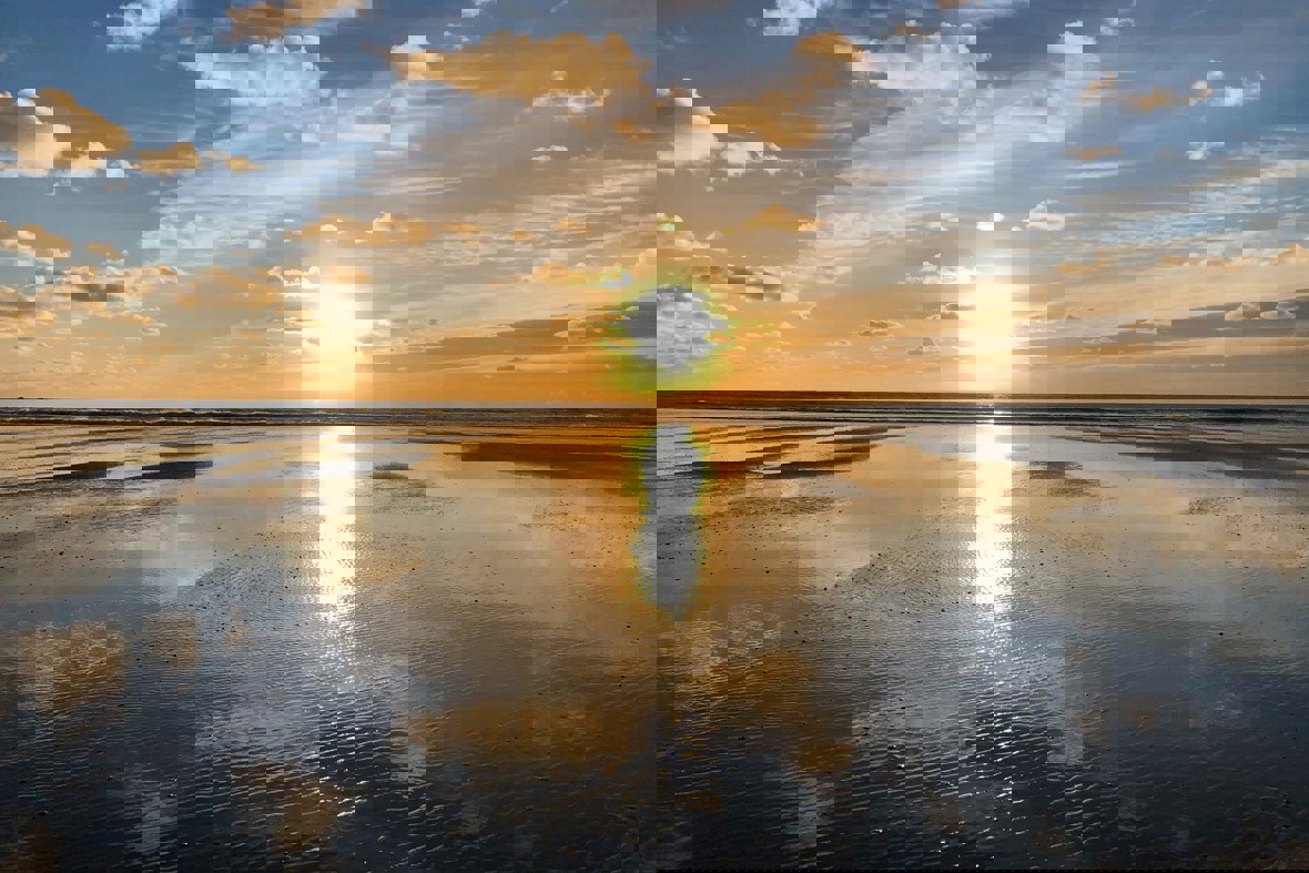 94881831 687212405365444 4871443909617647616 O