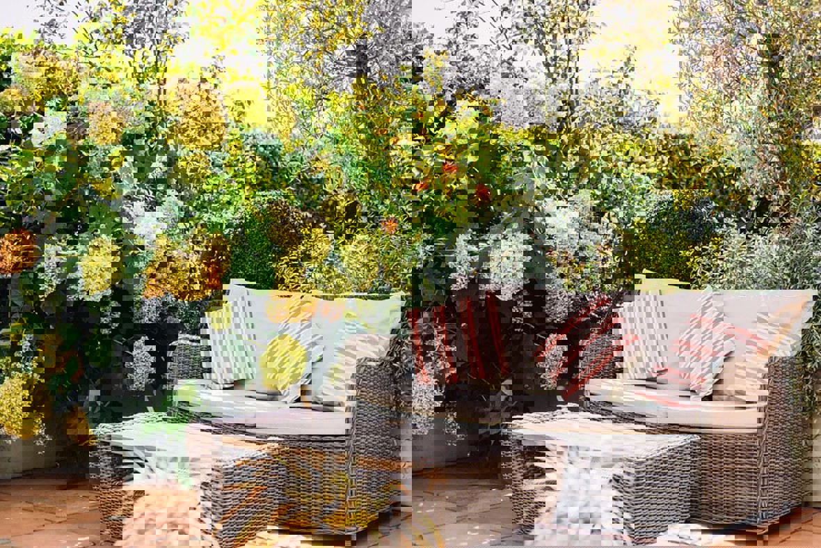 Bohemia Terrace 2019
