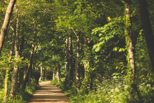 Railway Walk