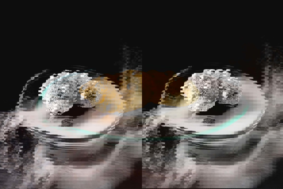 C TGH 23 10179 Min