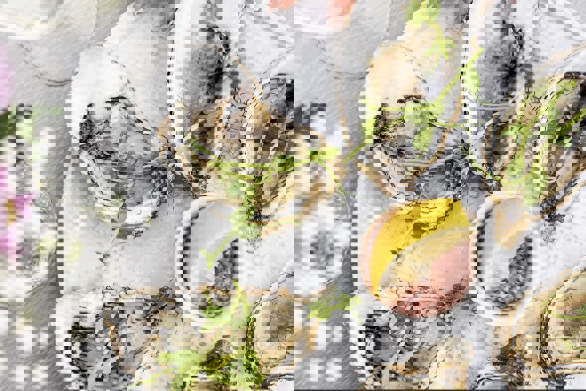 438082788 836517055179016 1760943511773408012 N