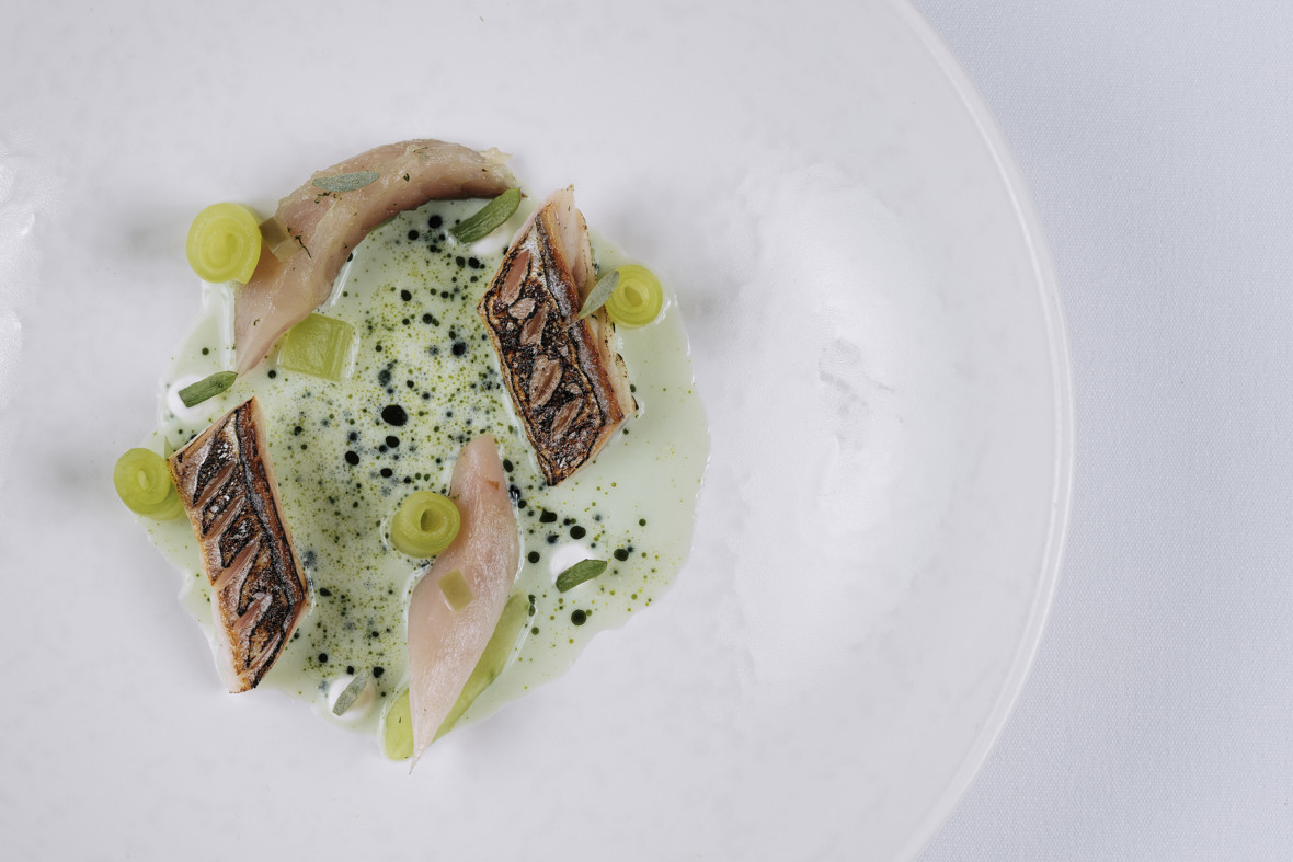 Cure & Torched Jersey Mackerel, Cucumber, Jalapaeno & Buttermilk (20)