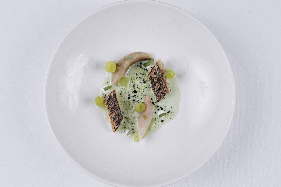 Cure & Torched Jersey Mackerel, Cucumber, Jalapaeno & Buttermilk (23)